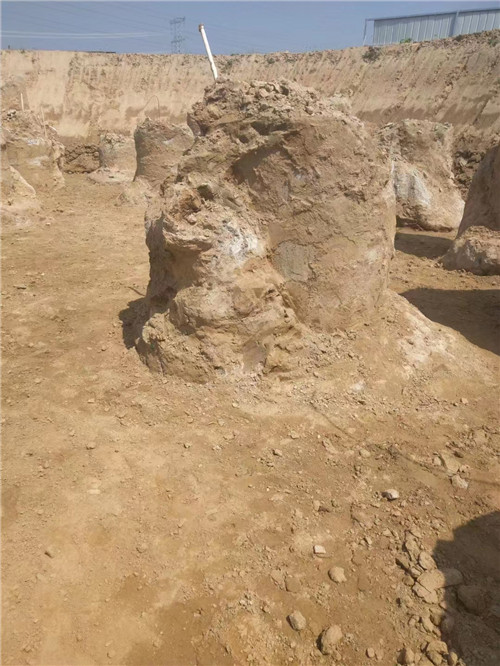 泰安探花系列视频在线